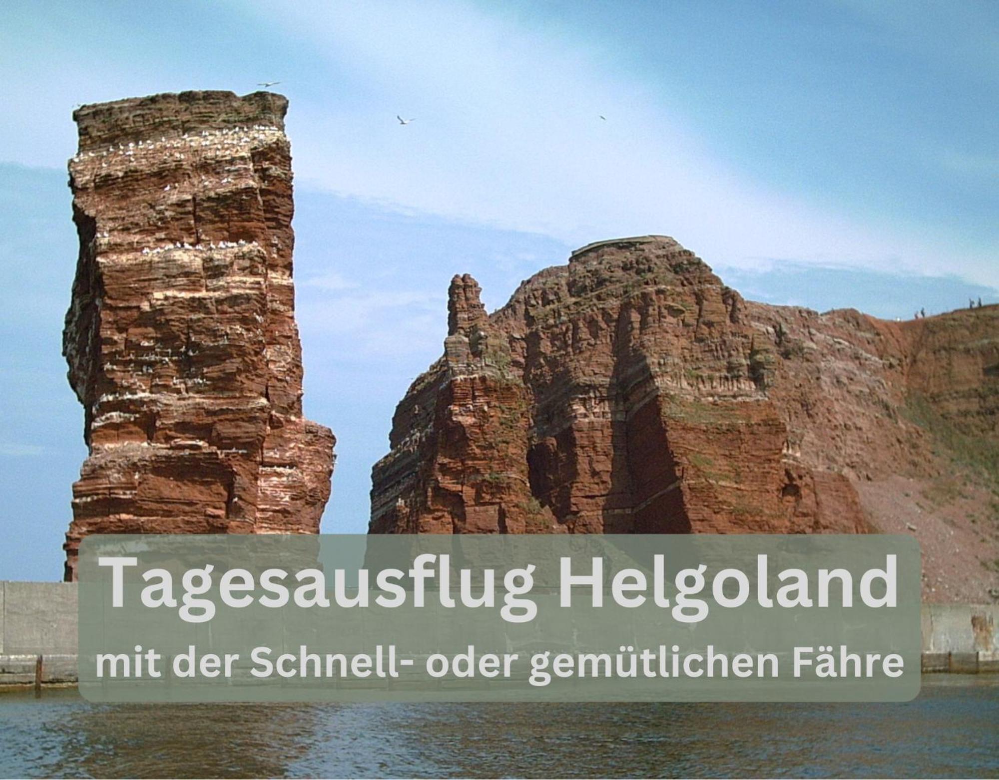 Lodge94 - Tinyhouse Kleiner Luxus Wilhelmshaven Esterno foto